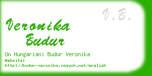 veronika budur business card